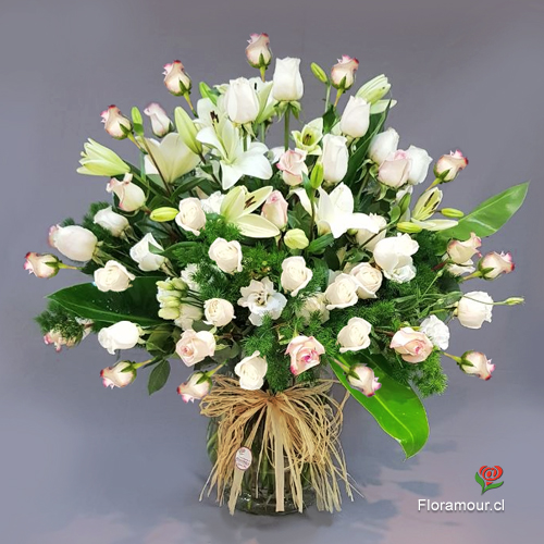 Grand Prix Deluxe
Espectacular arreglo grande de Rosas blancas y pastel, complementadas con liliums y follajes finos, montados en florerro de vidrio.
Solo Santiago
Seleccione colorido

Rojas
Blanco pastel